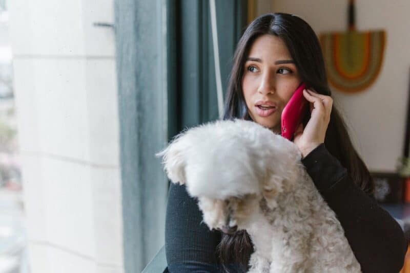 modelos más potentes de Xiaomi